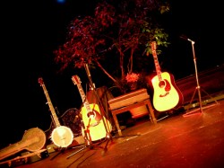 Guitars_McGuinn1